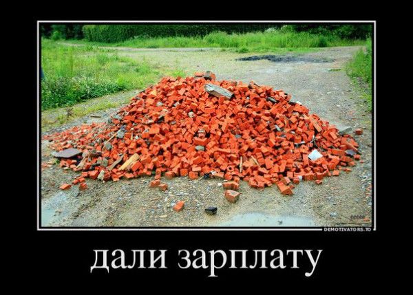 Демотиватор дали зарплату кирпичами