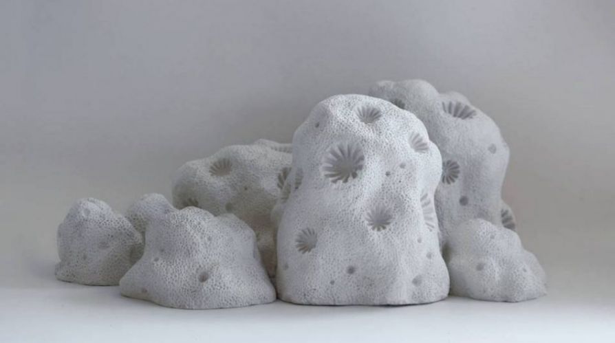 Фабьен Кусто печатает коралловые рифы на 3D-принтере