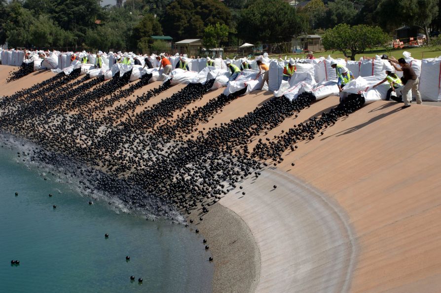 Shade Balls сбрасывают в воду