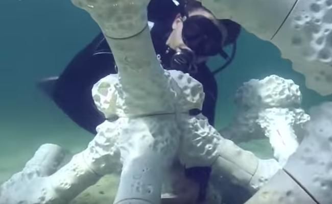 Напечатанный на 3D-принтере коралловый риф размещают на дне